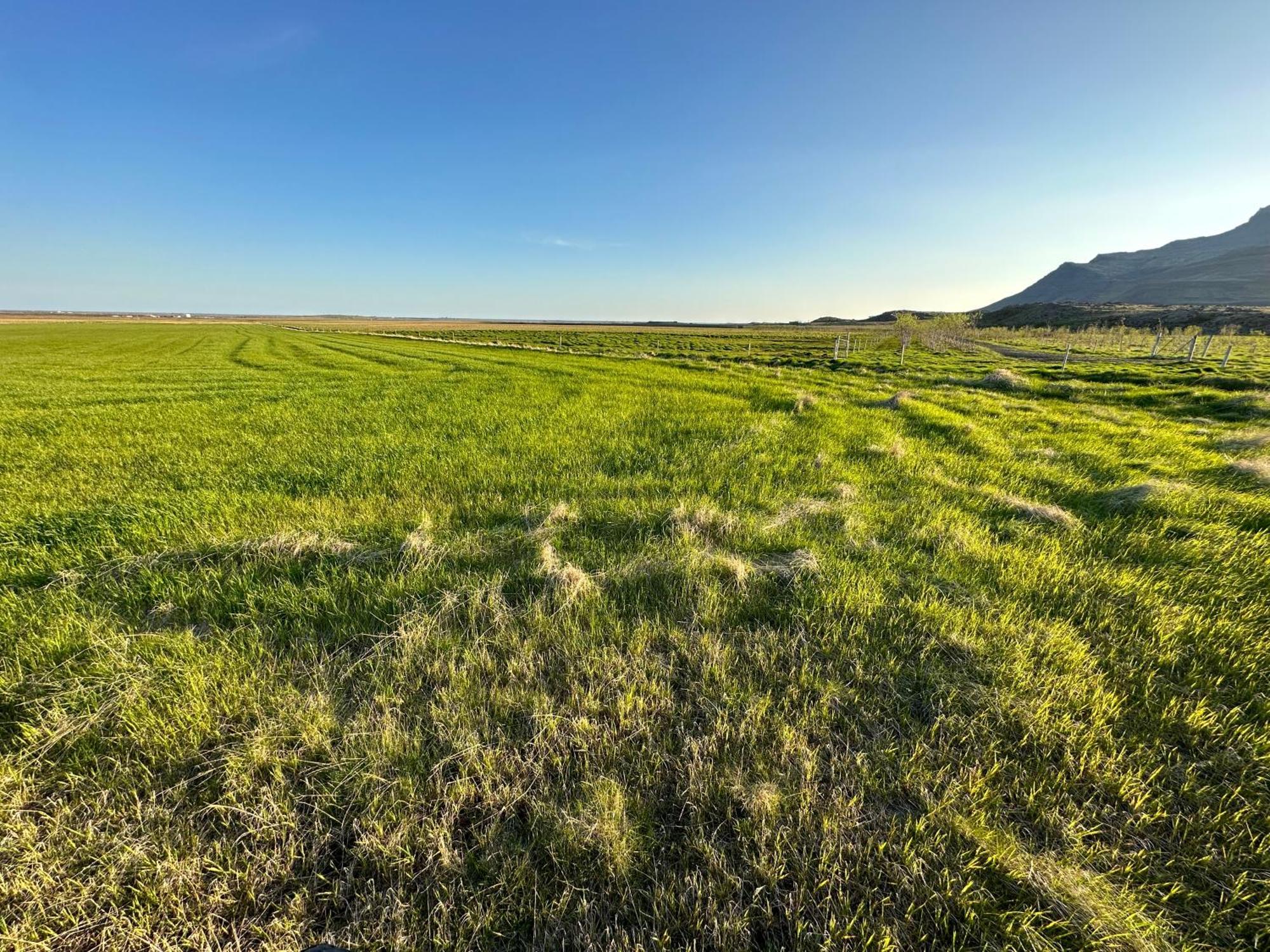Villa Hrossholt Stykkishólmur Esterno foto
